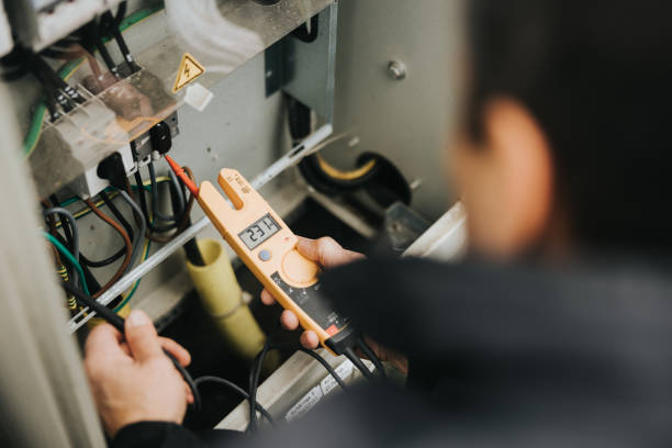 Best Electrician for Home Renovation  in Martinsvle, IL